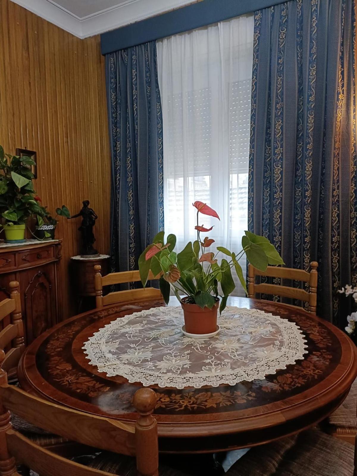 Domus Cesena Hotel Eksteriør billede